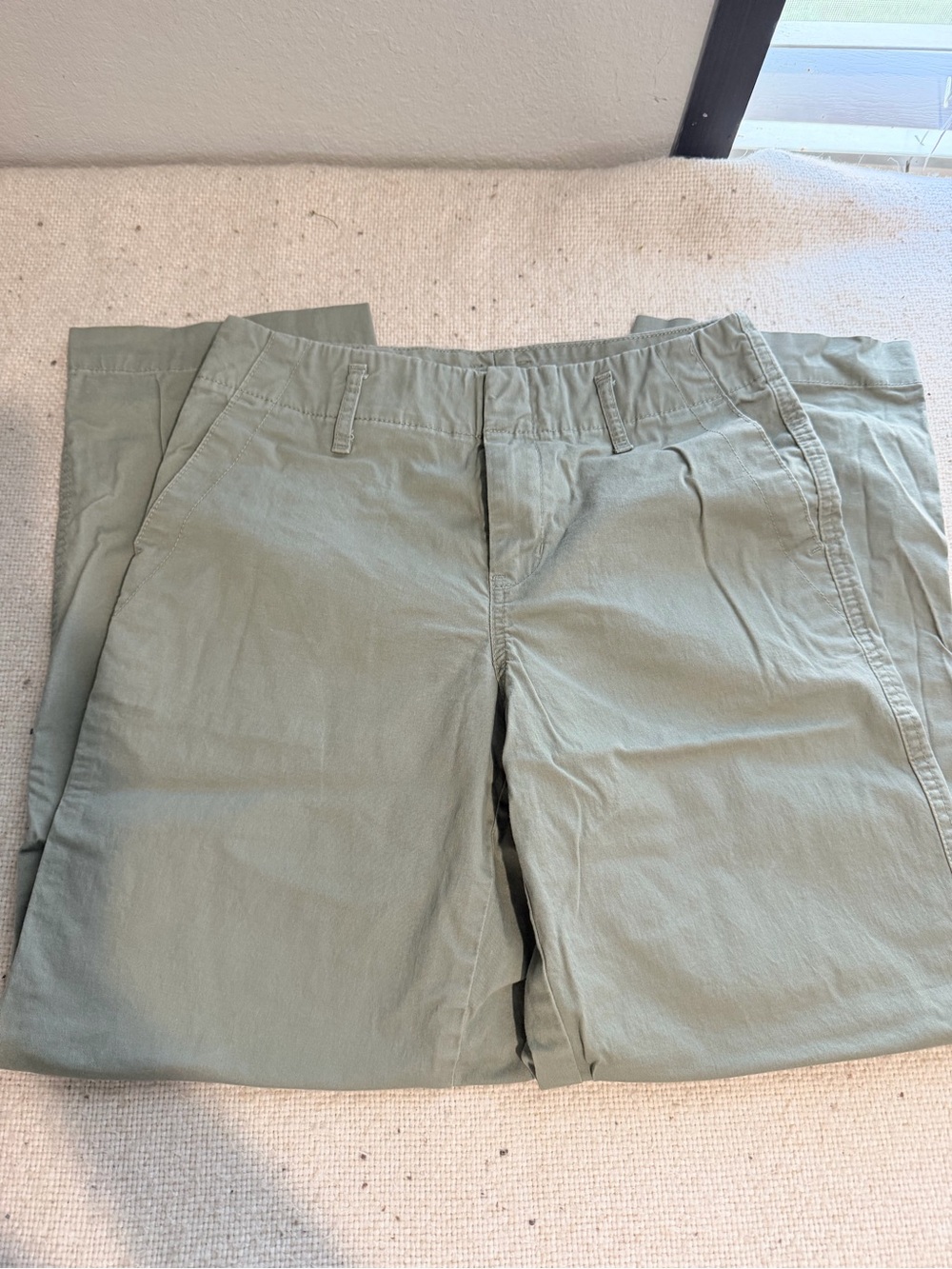 Womens Casual Chino Pants in Light Sage Green